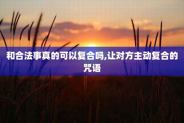 和合法事真的可以复合吗,让对方主动复合的咒语