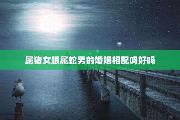 属猪女跟属蛇男的婚姻相配吗好吗