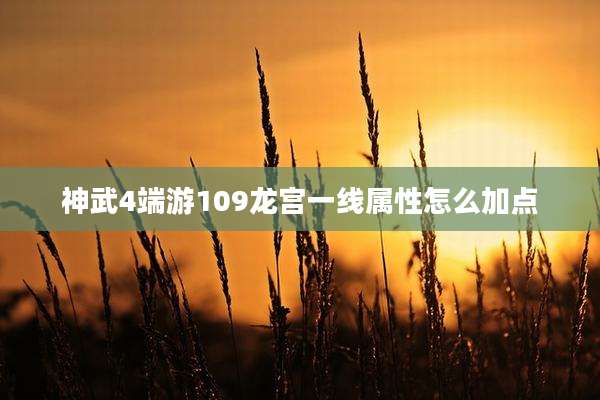 神武4端游109龙宫一线属性怎么加点