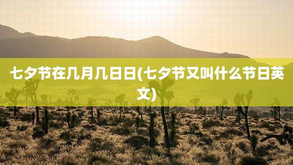 七夕节在几月几日日(七夕节又叫什么节日英文)