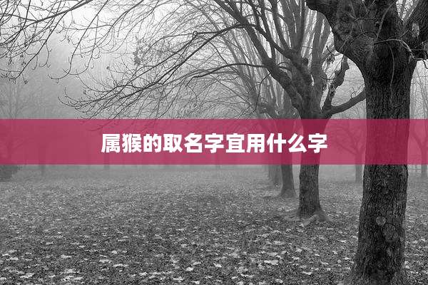 属猴的取名字宜用什么字