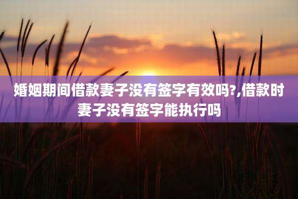 婚姻期间借款妻子没有签字有效吗?,借款时妻子没有签字能执行吗