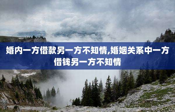 婚内一方借款另一方不知情,婚姻关系中一方借钱另一方不知情