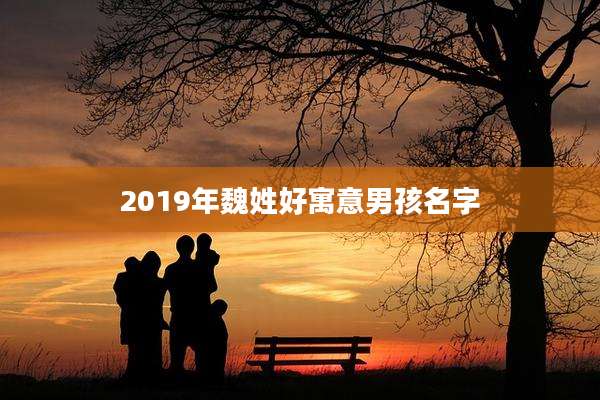 2019年魏姓好寓意男孩名字