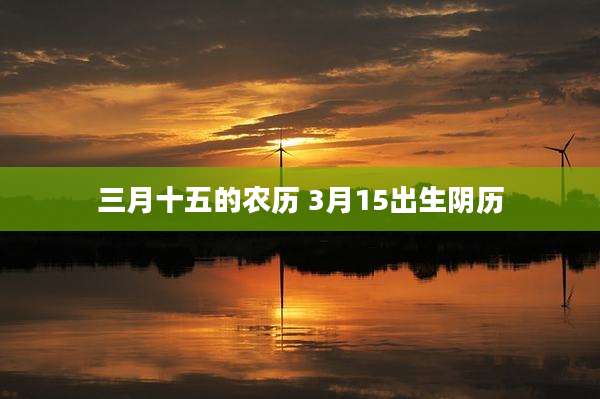 三月十五的农历 3月15出生阴历
