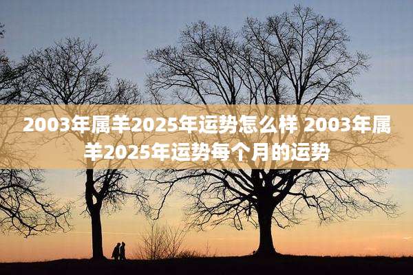 2003年属羊2025年运势怎么样 2003年属羊2025年运势每个月的运势