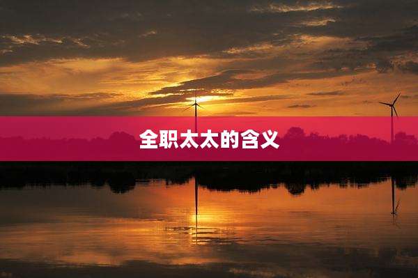 全职太太的含义