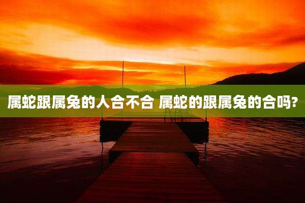 属蛇跟属兔的人合不合 属蛇的跟属兔的合吗?