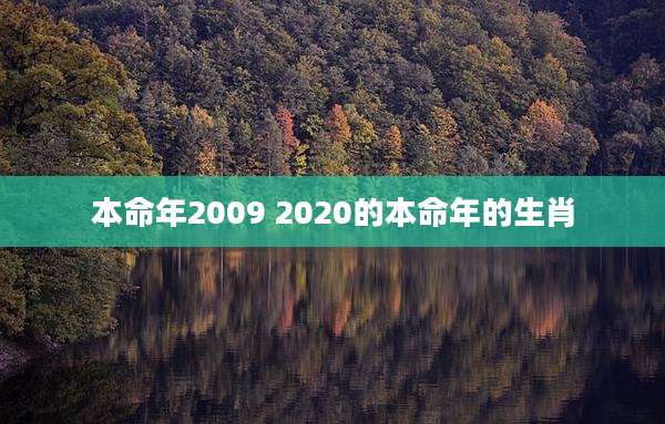 本命年2009 2020的本命年的生肖