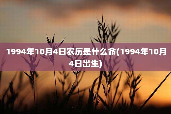 1994年10月4日农历是什么命(1994年10月4日出生)