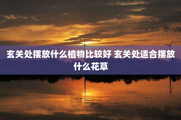 玄关处摆放什么植物比较好 玄关处适合摆放什么花草