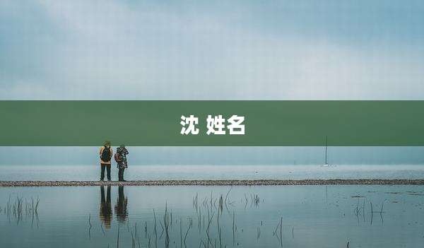 沈 姓名