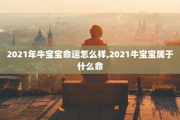 2021年牛宝宝命运怎么样,2021牛宝宝属于什么命