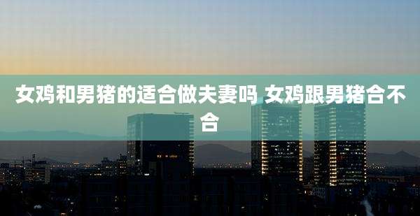 女鸡和男猪的适合做夫妻吗 女鸡跟男猪合不合