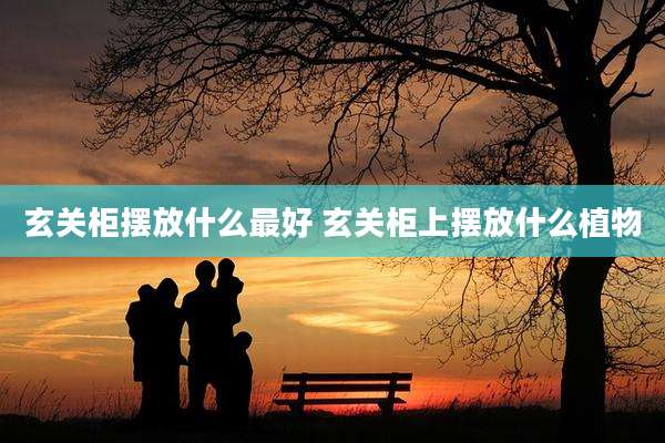 玄关柜摆放什么最好 玄关柜上摆放什么植物
