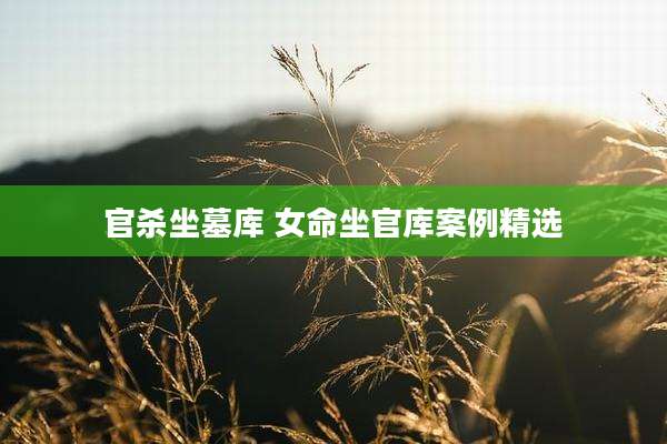 官杀坐墓库 女命坐官库案例精选