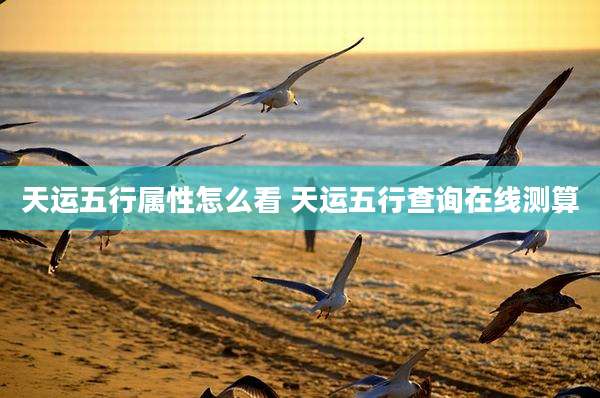 天运五行属性怎么看 天运五行查询在线测算