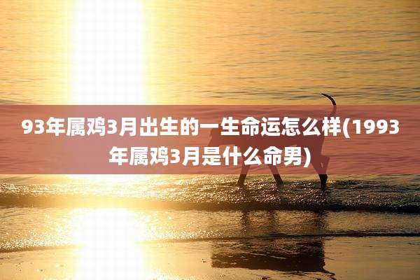 93年属鸡3月出生的一生命运怎么样(1993年属鸡3月是什么命男)