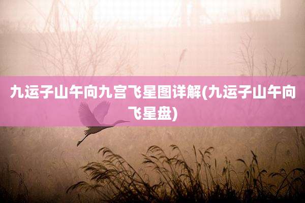 九运子山午向九宫飞星图详解(九运子山午向飞星盘)