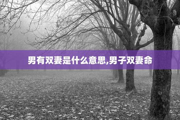 男有双妻是什么意思,男子双妻命