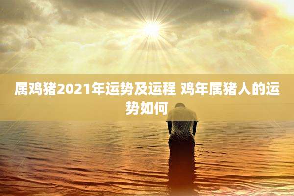 属鸡猪2021年运势及运程 鸡年属猪人的运势如何