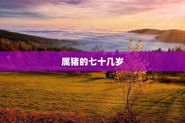 属猪的七十几岁