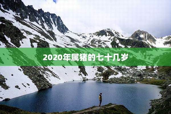 2020年属猪的七十几岁