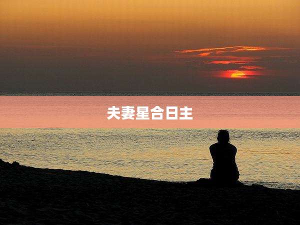 夫妻星合日主