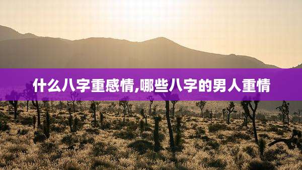 什么八字重感情,哪些八字的男人重情