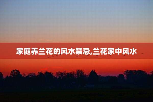 家庭养兰花的风水禁忌,兰花家中风水