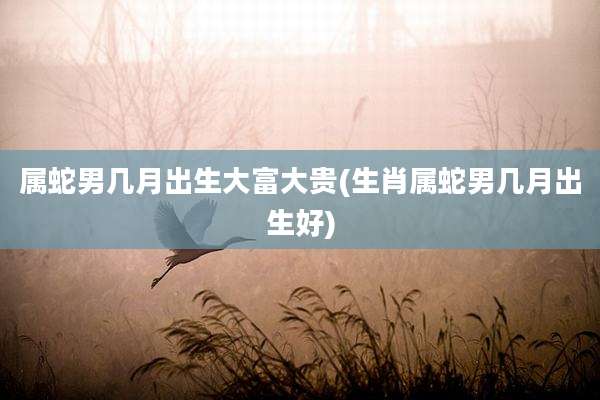 属蛇男几月出生大富大贵(生肖属蛇男几月出生好)