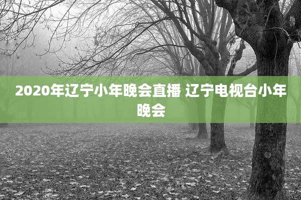 2020年辽宁小年晚会直播 辽宁电视台小年晚会