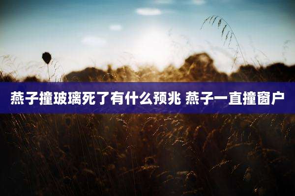 燕子撞玻璃死了有什么预兆 燕子一直撞窗户
