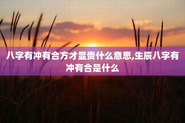 八字有冲有合方才显贵什么意思,生辰八字有冲有合是什么
