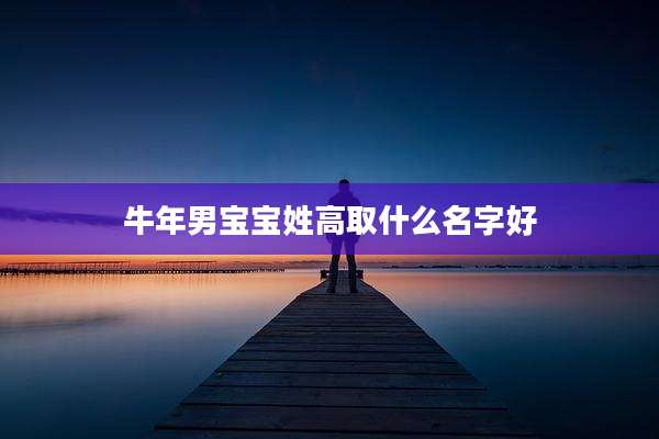 牛年男宝宝姓高取什么名字好
