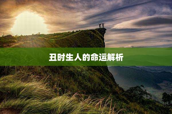 丑时生人的命运解析