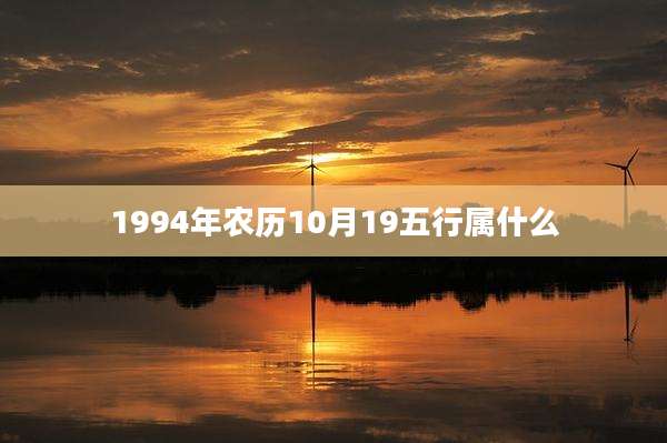 1994年农历10月19五行属什么