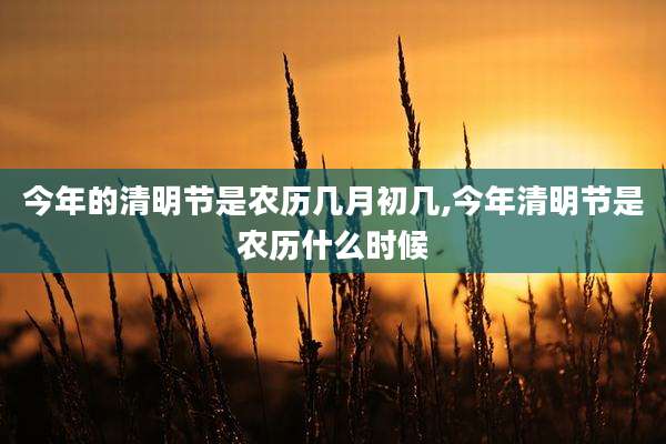 今年的清明节是农历几月初几,今年清明节是农历什么时候