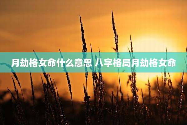 月劫格女命什么意思 八字格局月劫格女命