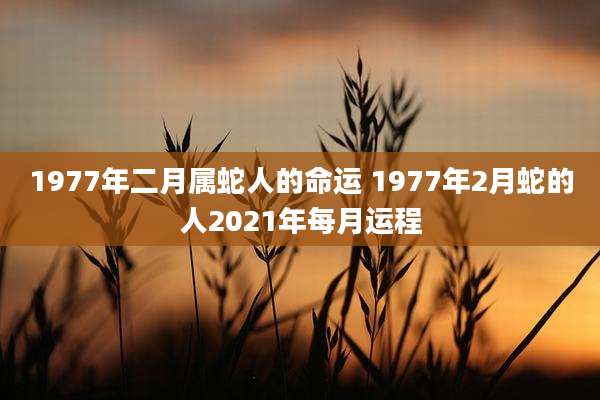 1977年二月属蛇人的命运 1977年2月蛇的人2021年每月运程