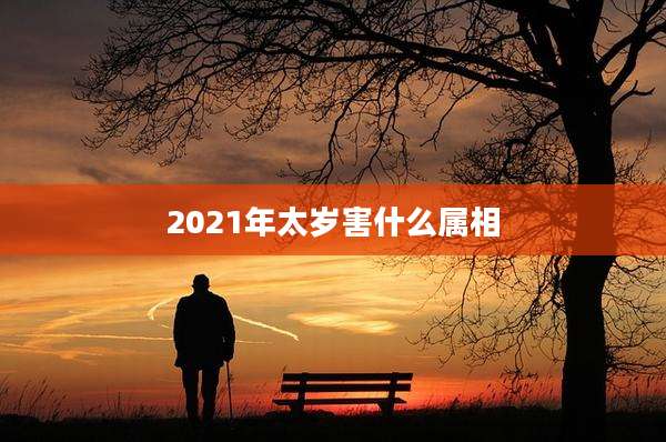 2021年太岁害什么属相