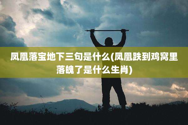 凤凰落宝地下三句是什么(凤凰跌到鸡窝里落魄了是什么生肖)