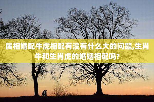 属相婚配牛虎相配有没有什么大的问题,生肖牛和生肖虎的婚姻相配吗?