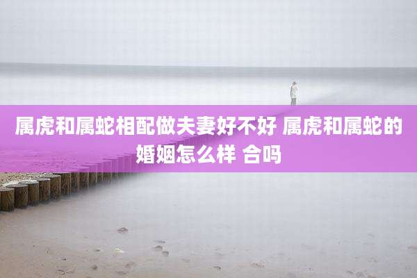 属虎和属蛇相配做夫妻好不好 属虎和属蛇的婚姻怎么样 合吗