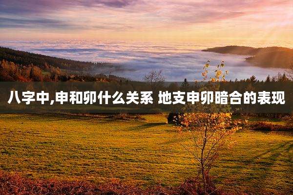 八字中,申和卯什么关系 地支申卯暗合的表现