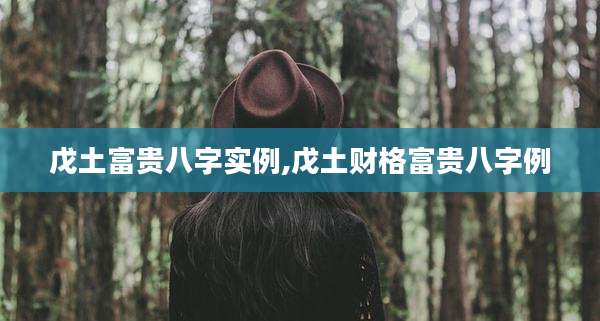 戊土富贵八字实例,戊土财格富贵八字例