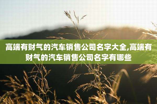 高端有财气的汽车销售公司名字大全,高端有财气的汽车销售公司名字有哪些
