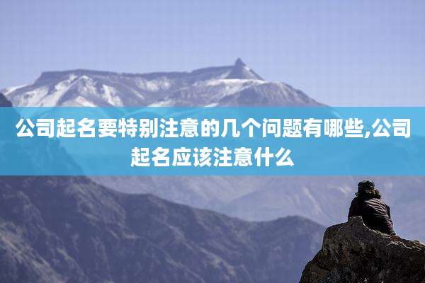 公司起名要特别注意的几个问题有哪些,公司起名应该注意什么