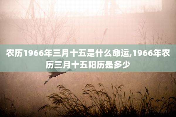 农历1966年三月十五是什么命运,1966年农历三月十五阳历是多少