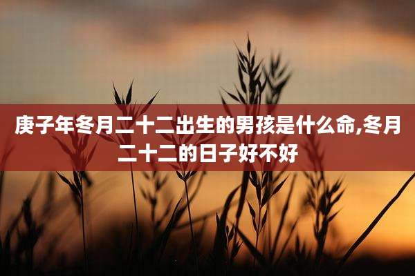 庚子年冬月二十二出生的男孩是什么命,冬月二十二的日子好不好